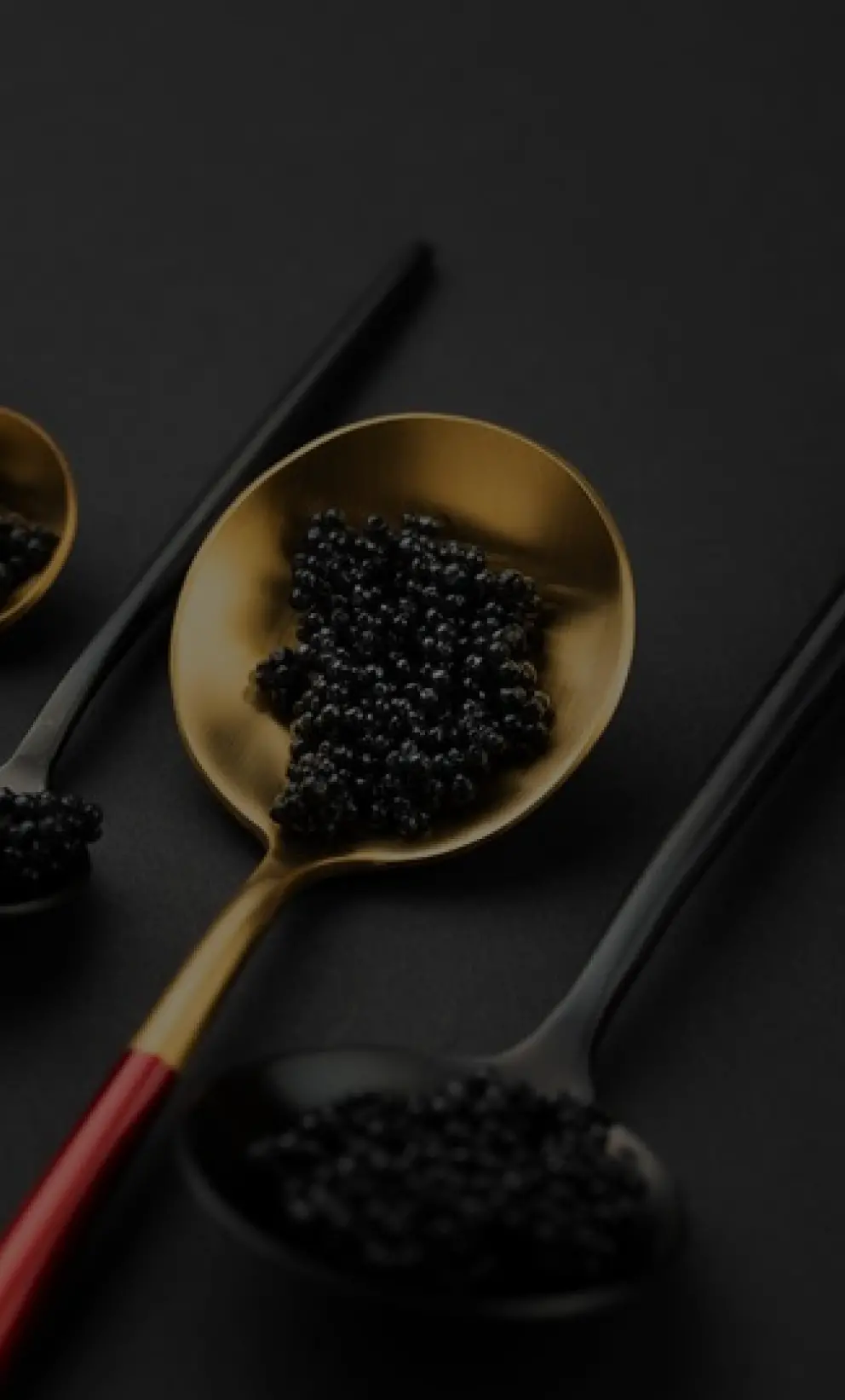 ПРОДУКТЫ ПИТАНИЯ И НАПИТКИ